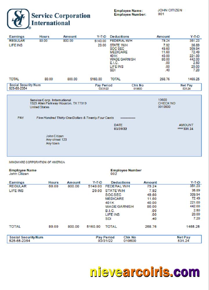USA Service Corp. International consumer discretionary company pay stub